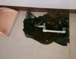 安塞卫生间测漏水多少钱